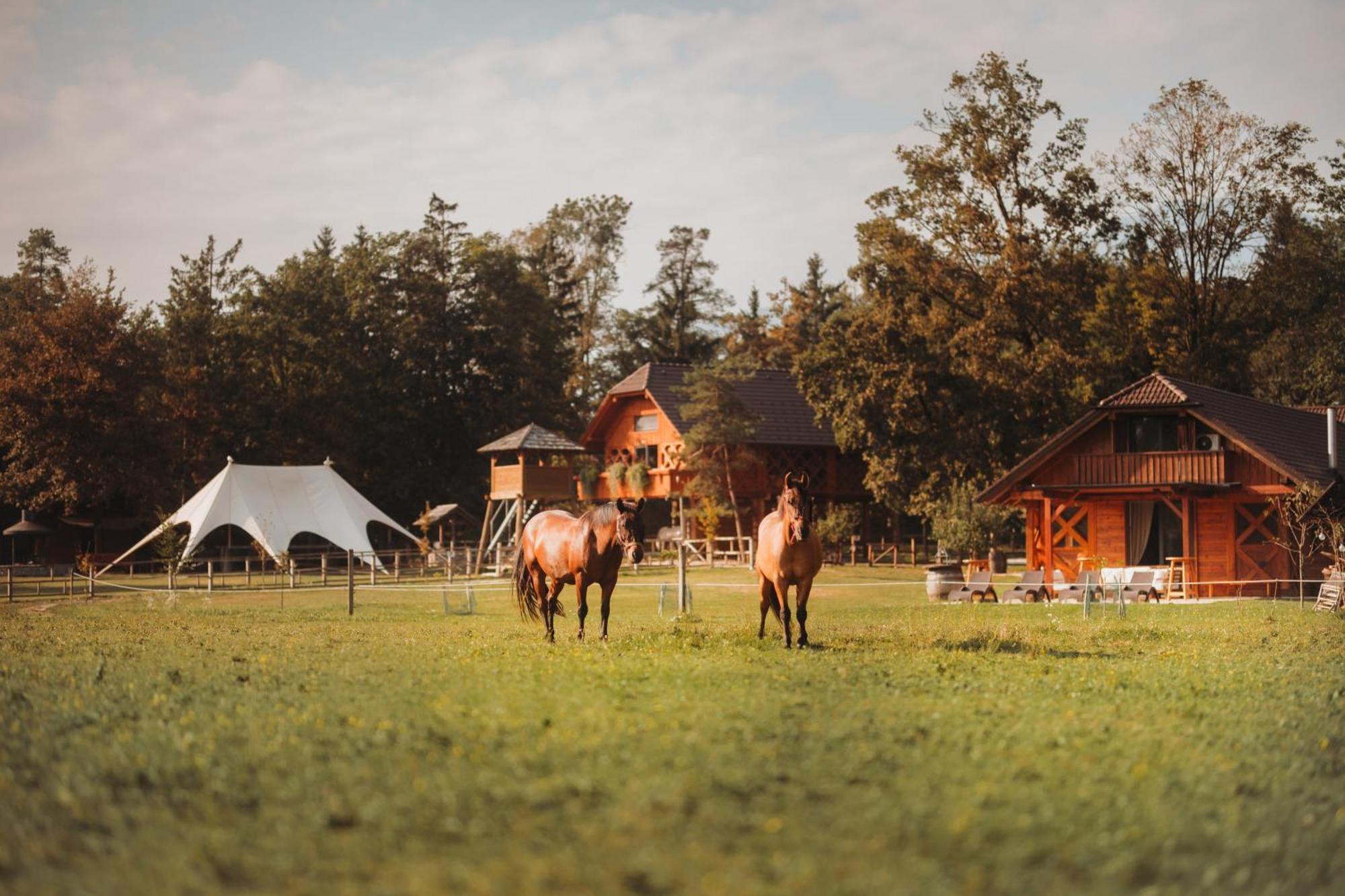 Tržič Ranc Mackadam Ranch Mackadam 빌라 외부 사진